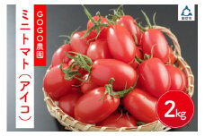 ミニトマト（アイコ2ｋｇ）（先行予約）