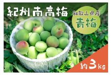 和歌山県産　紀州南高梅　青梅【約3kg】