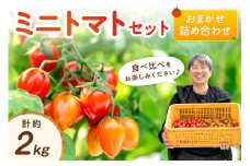 ミニトマトセット（おまかせ詰め合わせ）約2㎏《先行予約》