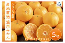 和歌山県　産地直送　温州みかん（5ｋｇ）（先行予約）