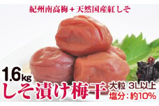 しそ漬け梅干(紀州南高梅)1.6kg 大粒 3L以上 和歌山県産