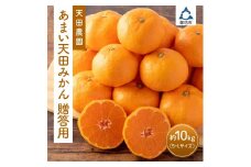 和歌山県　御坊市　あまい天田みかん　贈答用　約１０ｋｇ《先行予約》
