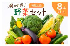 旬の新鮮野菜セットたっぷり8種以上