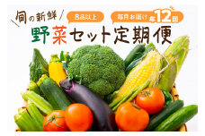 【定期便】旬の新鮮野菜セットたっぷり8種以上　12か月
