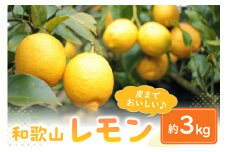 皮まで食べられる　和歌山産レモン【約3kg】