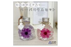 コロンと可愛いボトルに大輪のジニア入りハーバリウムセット