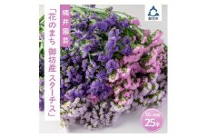 和歌山県御坊市直送　スターチス　切り花　25本