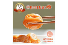 幸せのはちみつ梅（700g）