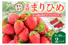 完熟まりひめ（和歌山県オリジナルブランドいちご）9～18粒入×2パック（3月土日祝）【配送不可地域 北海道 沖縄 離島】 期間限定 苺 イチゴ ケーキ デザート おやつ 果物 フルーツ オリジナルブランド 新鮮 柔らかい 甘い 糖度 旨味 食べ応え抜群
