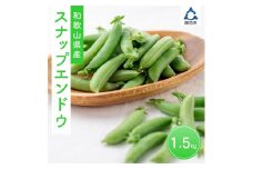 スナップ豌豆（スナップエンドウ）1.5kg【配送不可地域：北海道・沖縄・離島】≪先行予約2025年3月上旬より順次発送≫