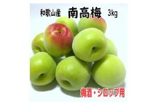 青梅（生梅）紀州南高梅 3kg 梅酒用・梅シロップ用《先行予約》
