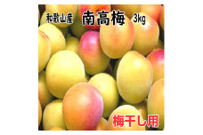 完熟青梅（生梅）紀州南高梅 3kg【梅干し用】《先行予約》