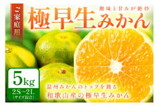 極早生みかん（ご家庭用） 5kg 和歌山産《先行予約》