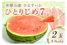 【産地直送】和歌山産小玉すいか「ひとりじめ7」2玉入り《先行予約》