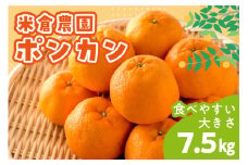ポンカン 7.5キロ《先行予約2026年1月中旬頃より順次発送予定》