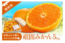 和歌山県天田のこだわり頑固みかん 5kg 贈答用木箱