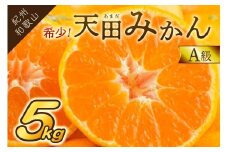 希少！天田みかん（紀州和歌山）A級5kg《先行予約》
