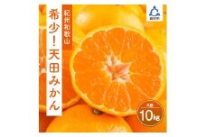 希少！天田みかん（紀州和歌山）A級10kg《先行予約》