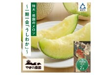 やまの農園　感謝のメロン～一期一会「うしわか」～≪先行予約≫【2026年7月中旬より順次発送予定】