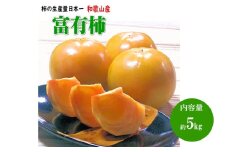 富有柿 5kg (18～24個) 和歌山産≪先行予約2025年10月下旬頃より順次発送分≫