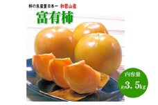 富有柿 3.5kg（13～17個）和歌山産≪先行予約2025年10月下旬頃より順次発送分≫