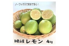 和歌山産レモン/グリーンレモン ４kg【国産レモン】《先行予約》