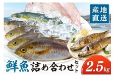 御坊産　鮮魚セット2.5kg 鮮魚 天然 詰め合わせ 朝どれ 冷蔵 新鮮 アジ サバ タチウオ 太刀魚 タイ 漁港 和歌山県産 御坊産 【配送不可地域】沖縄・北海道・東北・九州