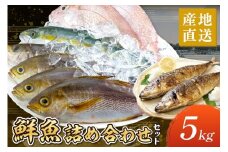 御坊産　鮮魚セット5kg 鮮魚 天然 詰め合わせ 朝どれ 冷蔵 新鮮 アジ サバ タチウオ 太刀魚 タイ 漁港 和歌山県産 御坊産 送料無料【配送不可地域】沖縄・北海道・東北・九州