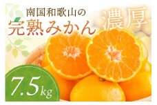 南国和歌山の完熟みかん《先行予約》7.5kg みかん 予約 先行予約 蜜柑 完熟蜜柑 果物 くだもの フルーツ 和歌山【配送不可地域】離島