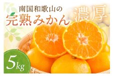 南国和歌山の完熟みかん《先行予約》5kg みかん 予約 先行予約 蜜柑 完熟蜜柑 果物 くだもの フルーツ 和歌山【配送不可地域】離島