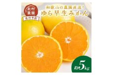 和歌山の農園直送！北村農園のゆら早生みかん5kg《先行予約》