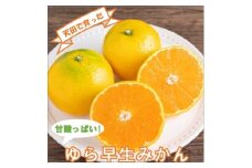 希少！天田で育ったゆら早生みかん（紀州和歌山）A級5kg《先行予約》
