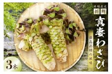 発祥の地　和歌山県から直送　真妻わさび　３本