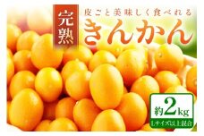 完熟きんかん/金柑 約2kg 和歌山産≪先行予約2026年2月頃より順次発送分≫