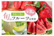 農園自慢の旬のフルーツ 定期便【配送不可地域：北海道・青森・秋田・岩手・沖縄・離島】 ふるさと納税 フルーツ 定期便 ふるさと納税 定期便 果物 いちご イチゴ 苺 メロン すいか スイカ