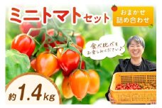 ミニトマトセット（おまかせ詰め合わせ）約1.4kg《先行予約》