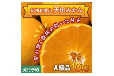 天田みかん（紀州和歌山）A級10kg（先行予約）