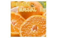 和歌山県産　温州みかん（5ｋｇ）≪先行予約≫