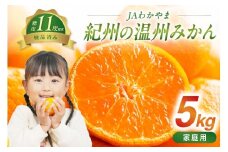 JAわかやま　紀州の温州みかん（家庭用）5kg