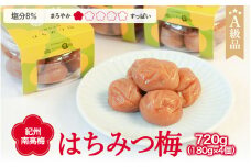 紀州南高梅 はちみつ梅干し （塩分8％）計720g（180g×4個） A級品 / 和歌山 梅干し 田辺市 紀州南高梅 南高梅 梅干 梅 小梅 はちみつ使用 はちみつ梅 肉厚 お米 おにぎり 焼酎 梅酒 健康 はちみつ梅 塩分8％ 塩分控えめ【ske001-1】