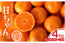 【2025年先行予約】ちぃちゃいおみかん『甘ちゃん。』【小玉みかん】4kg（約65～70個） ※2025年12月上旬～下旬頃に順次発送予定【期間限定・2025/12/05まで】 / みかん ミカン 柑橘 温州みかん 早生温州ミカン 和歌山県 小玉 小粒【ngm001】