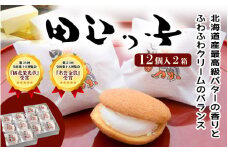 銘菓 田辺っ子（たなべっこ）12個入り×2箱 / 銘菓 お菓子 スイーツ 和菓子 個包装 小分け プレゼント ギフト ご家庭用 贈答 和歌山 バター クリーム お土産 お取り寄せ 田辺市【shd002-1】