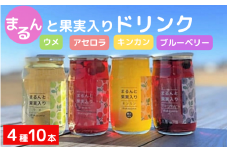 まるんと果実入りドリンク４種10本セット / 田辺市 ドリンク ジュース 果実ドリンク 梅ドリンク きんかんドリンク アセロラドリンク ブルーベリードリンク 梅 きんかん アセロラ ブルーベリー 和歌山県産 沖縄県産 ジュースセット【asr001】