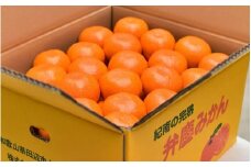【期間限定・先行予約・12/20まで受付】紀南の温州みかん10ｋｇ※2024年11月20日頃～2024年12月末頃に順次発送予定 / 田辺市 温州みかん みかん フルーツ【ais002】