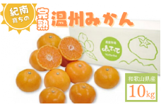 【先行予約】紀南育ちの完熟温州みかん  10㎏※11月下旬～12月頃に順次発送予定【期間限定:2024/12/15まで】/ 田辺市 よってって みかん 温州みかん 完熟温州みかん【prs002-1】