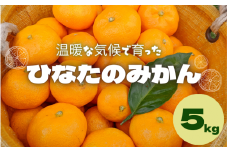 ＜先行予約＞ひなたのみかん　5kg （箱込み）※2025年12月頃に順次発送予定【期間限定・2025/12/25まで】 / みかん 田辺市 柑橘 期間限定 先行予約 ミカン 和歌山 紀州【okm005】
