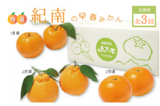【先行予約】【定期便】特撰 紀南の早春みかん3回コース（ポンカン5kg、不知火3kg、紅八朔柑5kg）【期間限定：2024/12/15まで】  / 田辺市 よってって みかん ポンカン 温州みかん 紅八朔  3回コース【prs003-tk】