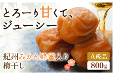 紀州みかん蜂蜜入り梅干（塩分約5％） 800g 【プレミア和歌山認定品】 / はちみつ梅干し 和歌山 田辺市 紀州南高梅 南高梅 梅干し 梅干 梅 はちみつ 肉厚 お米 おにぎり 焼酎 梅酒 健康 みかん蜂蜜 甘い梅干し ご飯のお供 まろやか【mtz001-1】