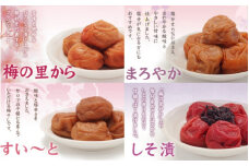 選べる！お好きな梅干し2種類セット＜梅の里から＆まろやか＞900g×2 / 田辺市 紀州南高梅 南高梅 梅干し 梅干 梅 うめ 肉厚 お米 おにぎり 焼酎 梅酒 健康 食べ比べ【ing102-1-1】