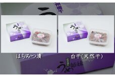 紀州南高うめ姉妹 はちみつ漬（塩分約5％）600ｇ、白干（塩分約20～25％）600ｇ計1200g / 田辺市 紀州南高梅 南高梅 梅干し 梅干 梅 うめ 肉厚 お米 おにぎり 焼酎 梅酒 健康 白干し梅 塩分控えめ ご飯のお供 セット 食べ比べ【uth002】